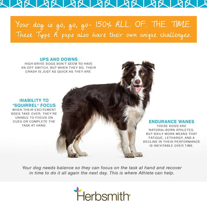 Herbsmith Athlete – Canine Endurance Supplement for Working and Agility Dogs (75g Powder)