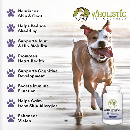 Krill Oil for Dogs and Cats - Premium Antioxidant Support for Pets - Cat and Dog Skin and Coat Supplement with EPA, DHA, Astaxanthin - Omega-3 for Dogs and Cats - 200 Softgels