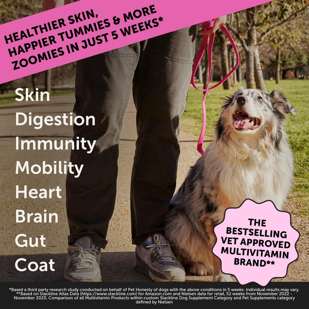 Pet Honesty Max Strength Dog Multivitamin with Glucosamine & Probiotics - Advanced 15-in-1 Supplement for Joint, Digestive, Immune & Heart Health - Salmon, 90 Chews - görsel 2
