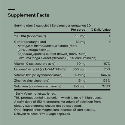 SRW Laboratories Cel¹ Stability | Stem Cell Supplement with 2-HOBA - Supports Stress Defence, DNA Structure & Youthful Cell Function | 60 Capsules
