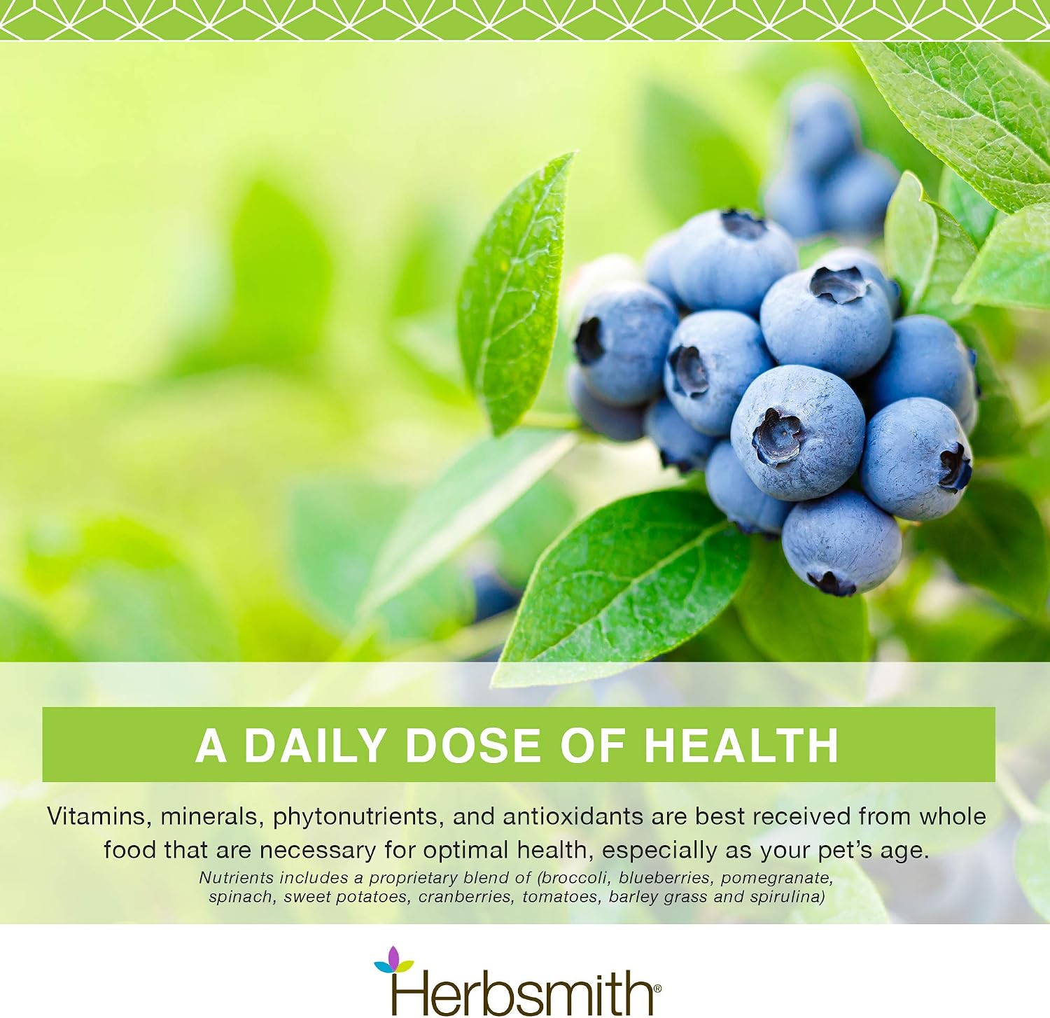 Herbsmith Nutrients Formula, Small - 83g - görsel 6
