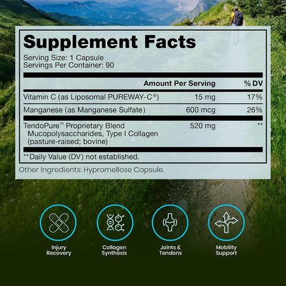 Pure Therapro Rx Acute Injury | Tendon & Ligament Support | Once Daily Clinical Dose | Hydrolysed Type I Collagen & Liposomal Vitamin C | Pharmaceutical Grade (90 Capsules)
