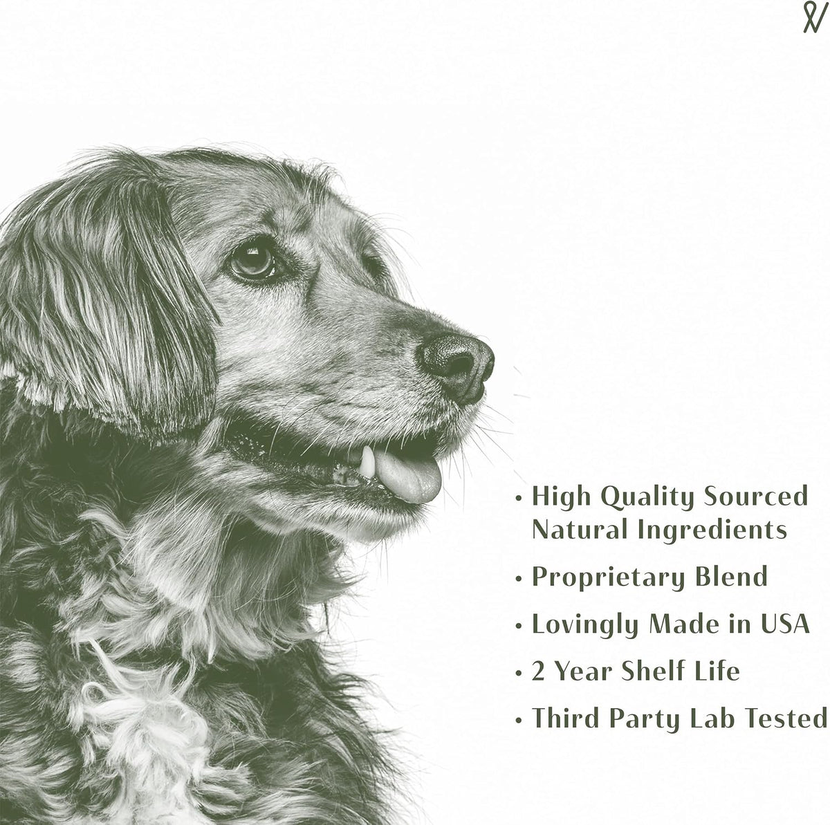 Everpath Sinus Support for Dogs – Natural Herbal Tincture 60ml (2 fl oz) - görsel 6