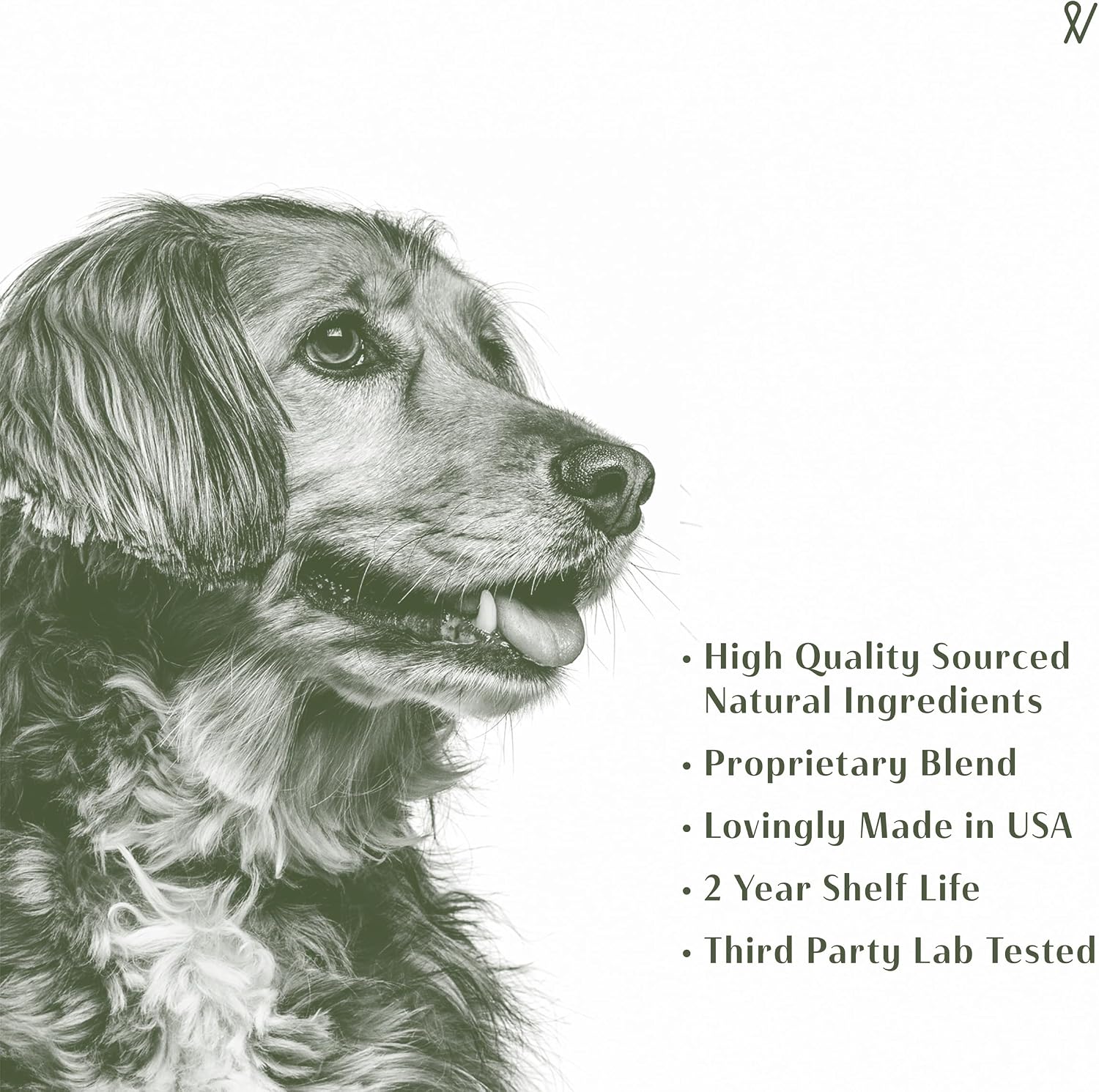 Everpath Sinus Support for Dogs – Natural Herbal Tincture 60ml (2 fl oz) - görsel 6