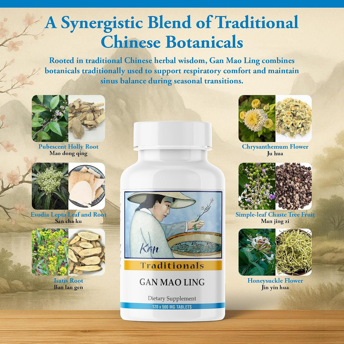 Kan Herbs Company Gan Mao Ling Tablets – Traditional Chinese Herbal Blend with Isatis, Chrysanthemum & Honeysuckle, 120 Tablets - görsel 4