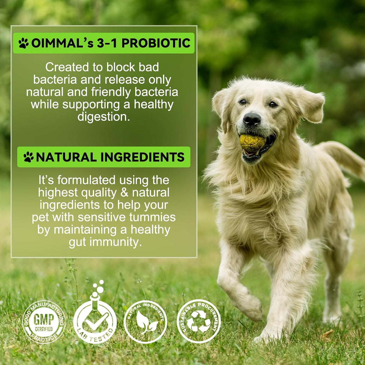 FANGCUN 3-in-1 Probiotics for Dogs with Digestive Enzymes, Liquid Dog Probiotic Supplement for Digestive Health & Immune Support (60 ml) - görsel 7