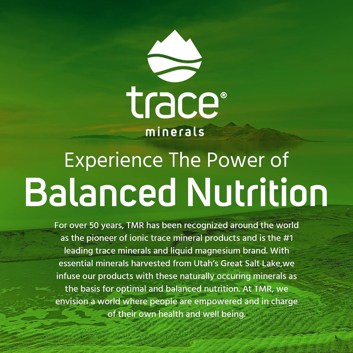 Trace Minerals Power Pak Electrolyte Powder Packets - 1200 mg Vitamin C, Zinc, Magnesium - Lemon & Lime - 60 Packets - görsel 6