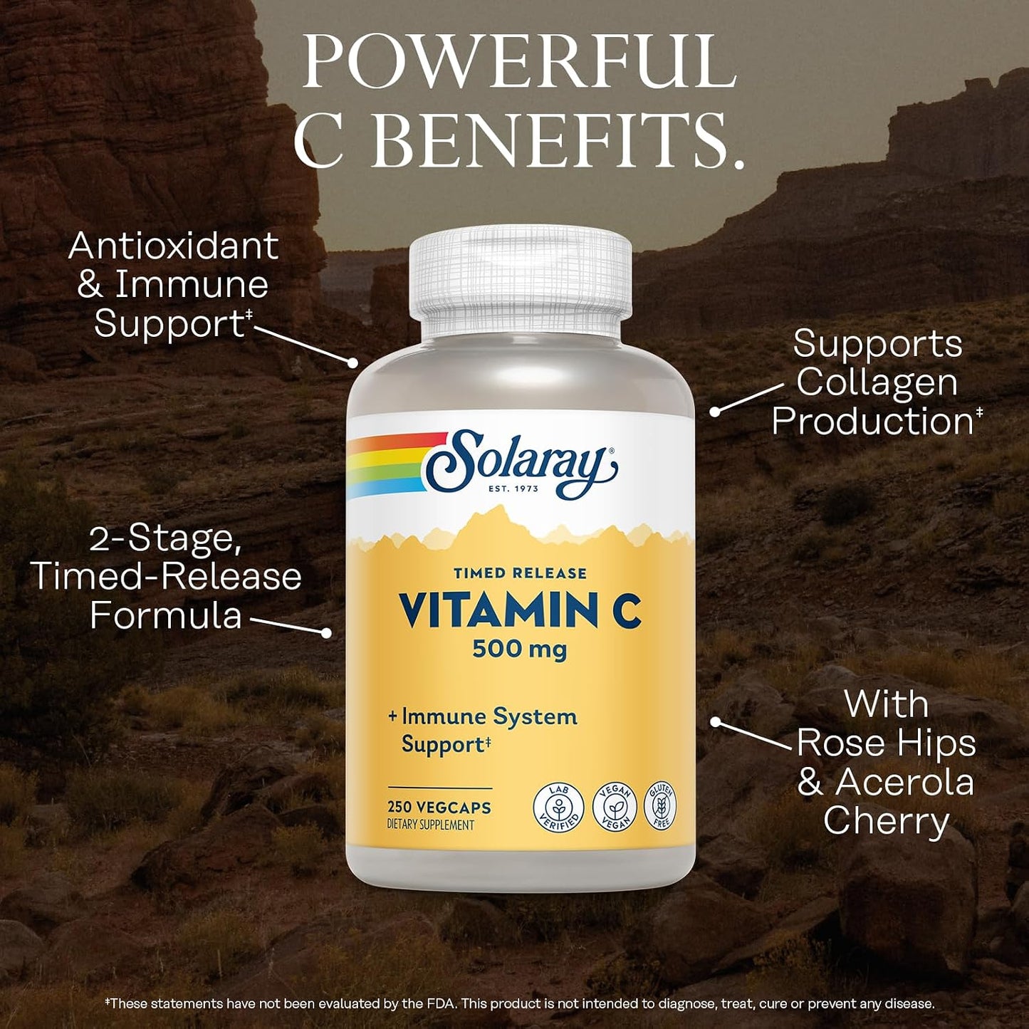 SOLARAY Vitamin C 500mg, Two-Stage Timed Release with Rose Hips and Acerola, 250 Veg Caps - görsel 3