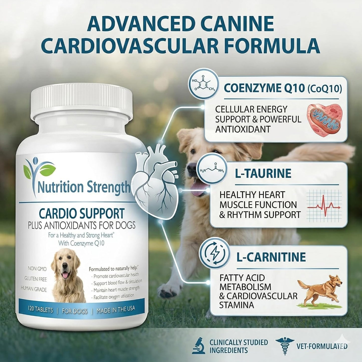 Cardio Support for Dogs Plus Antioxidant, L-Carnitine, L-Taurine, with Coenzyme Q10 and Vitamin E, Supports a Healthy and Strong Dog Heart, 120 Chewable Tablets - görsel 2