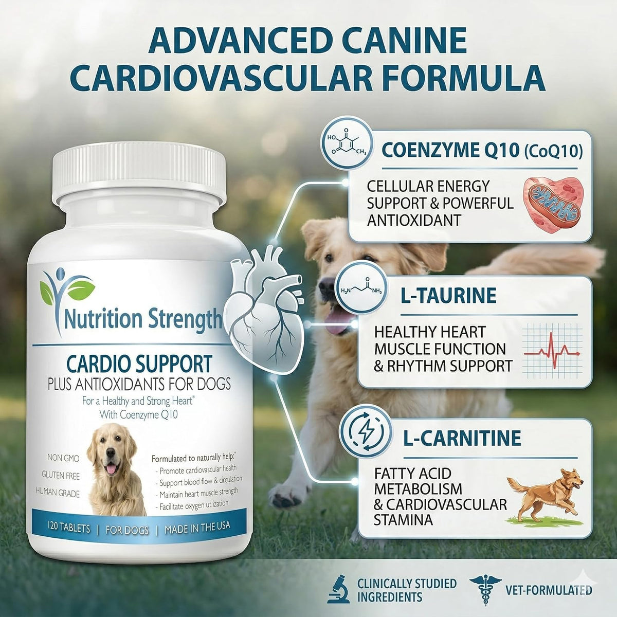 Cardio Support for Dogs Plus Antioxidant, L-Carnitine, L-Taurine, with Coenzyme Q10 and Vitamin E, Supports a Healthy and Strong Dog Heart, 120 Chewable Tablets - görsel 2