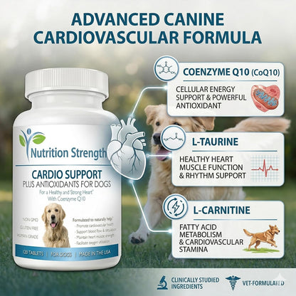 Cardio Support for Dogs Plus Antioxidant, L-Carnitine, L-Taurine, with Coenzyme Q10 and Vitamin E, Supports a Healthy and Strong Dog Heart, 120 Chewable Tablets