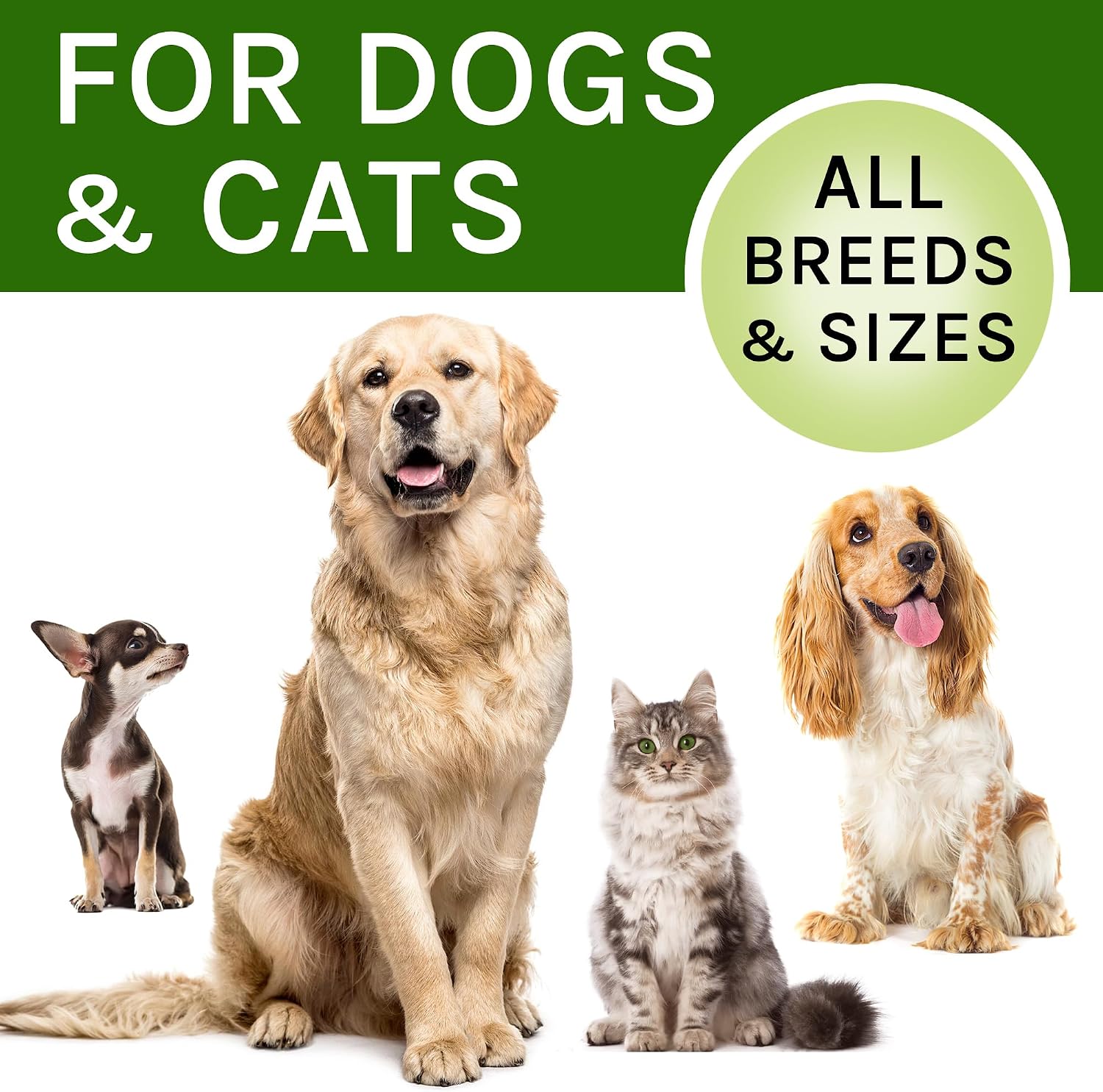 Kennel Cough Treatment for Dogs & Cats - Collapsed Trachea & Cat Asthma Support - Dog Cough Suppressant - Liquid Throat Soother - Dry, Wet & Barky Pet Cough Relief for All Breeds - Made in the USA - 2 Oz (approx. 59 ml) - görsel 8