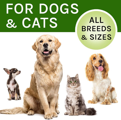 Kennel Cough Treatment for Dogs & Cats - Collapsed Trachea & Cat Asthma Support - Dog Cough Suppressant - Liquid Throat Soother - Dry, Wet & Barky Pet Cough Relief for All Breeds - Made in the USA - 2 Oz (approx. 59 ml)