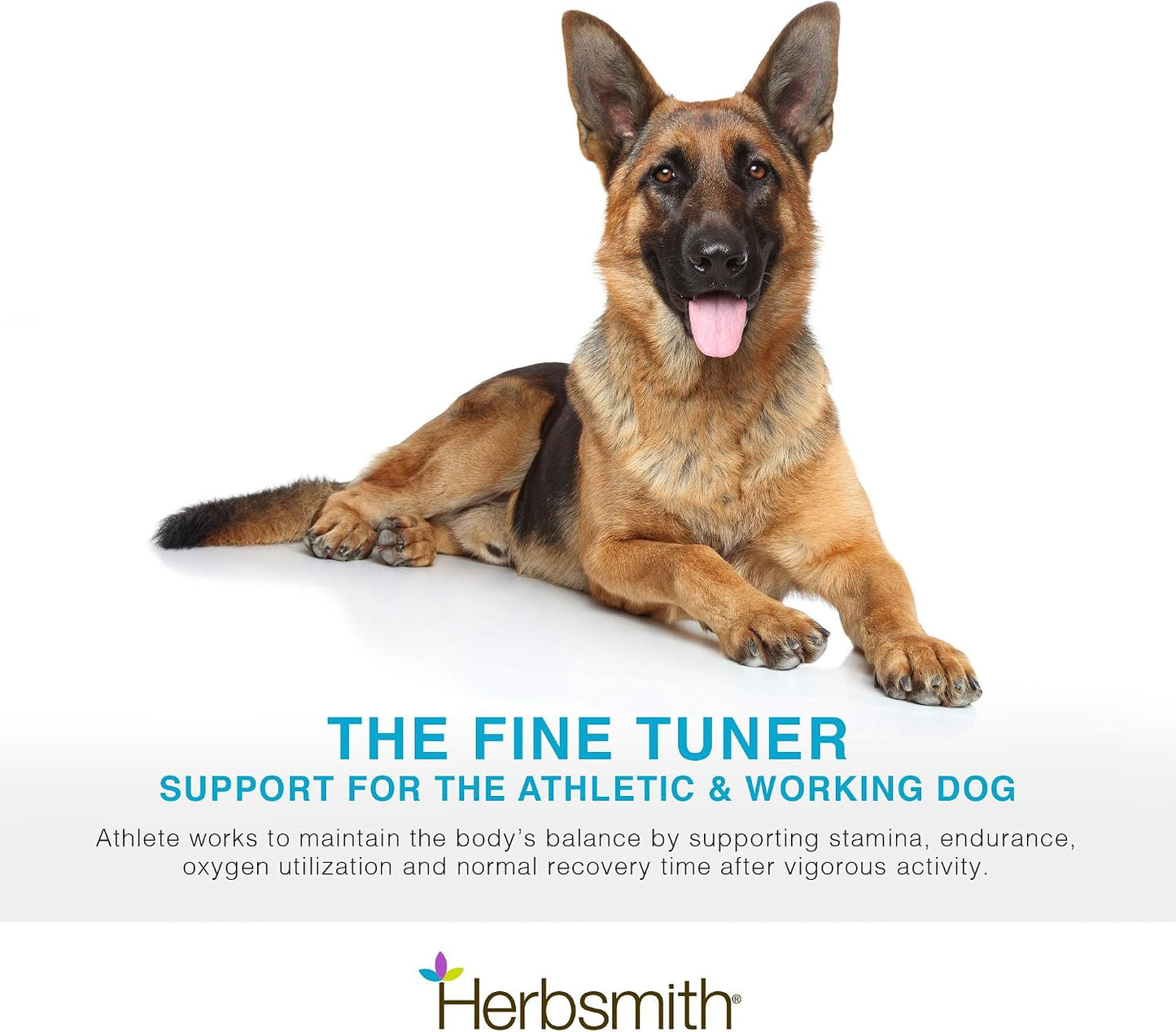 Herbsmith Athlete – Canine Endurance Supplement for Working and Agility Dogs (75g Powder) - görsel 2