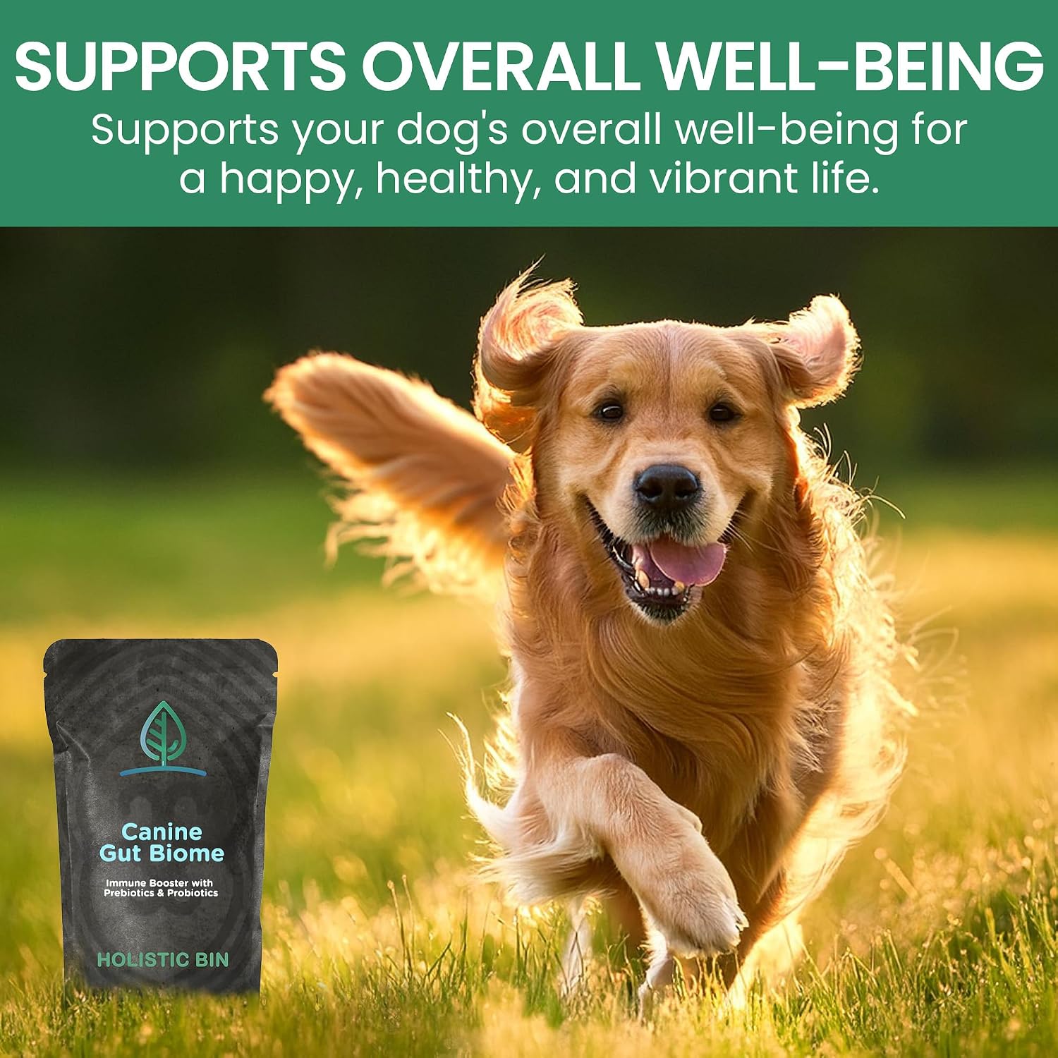 Holistic Bin Canine Gut Biome Blend - Plant-Based Dog Food Topper (50g) - görsel 5
