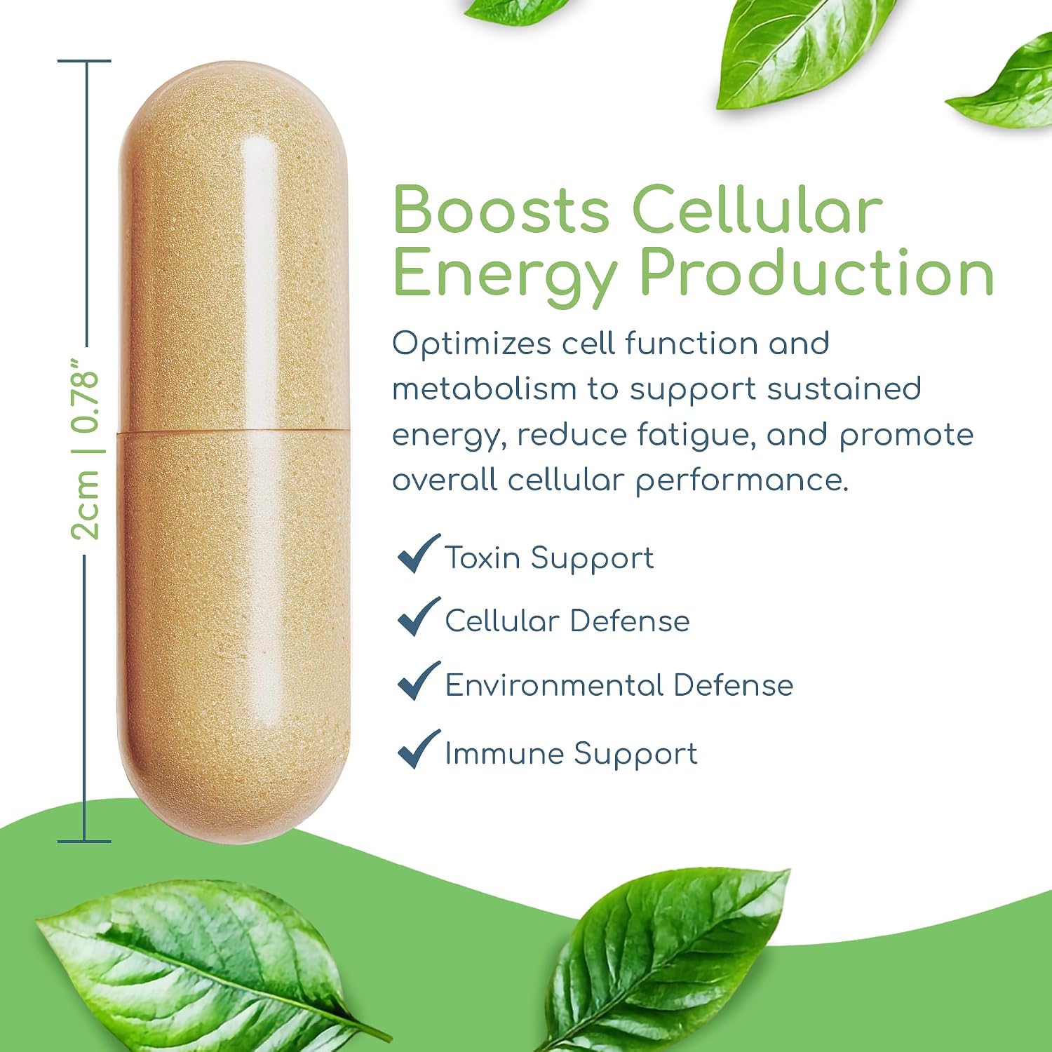 Cell Nutrients by Return Healthy - Mitochondrial Supplement for Cell Repair & Metabolism - görsel 4