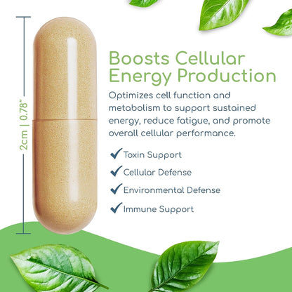 Cell Nutrients by Return Healthy - Mitochondrial Supplement for Cell Repair & Metabolism