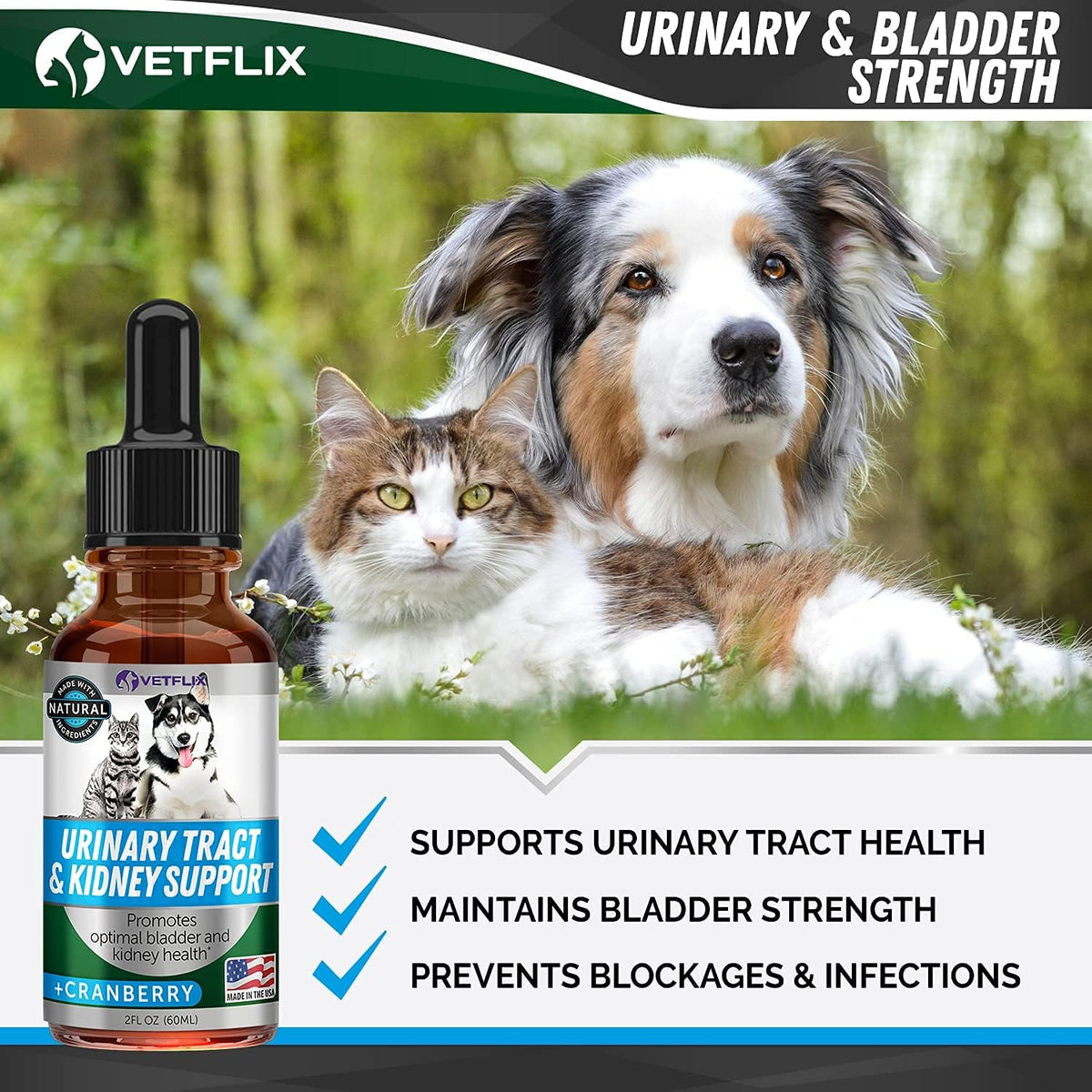 UTI and Kidney Support Liquid for Dogs, Cats, Puppies and Kittens, 60 ml - görsel 5