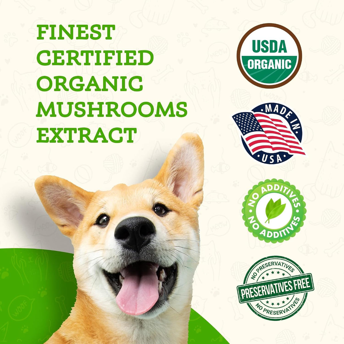 Focus Lion's Mane Mushroom Supplement for Dogs & Cats - görsel 5