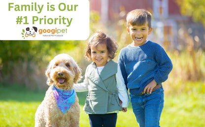 Googipet Probiotics for Dogs – Digestive Health Chews with 6 Billion CFU