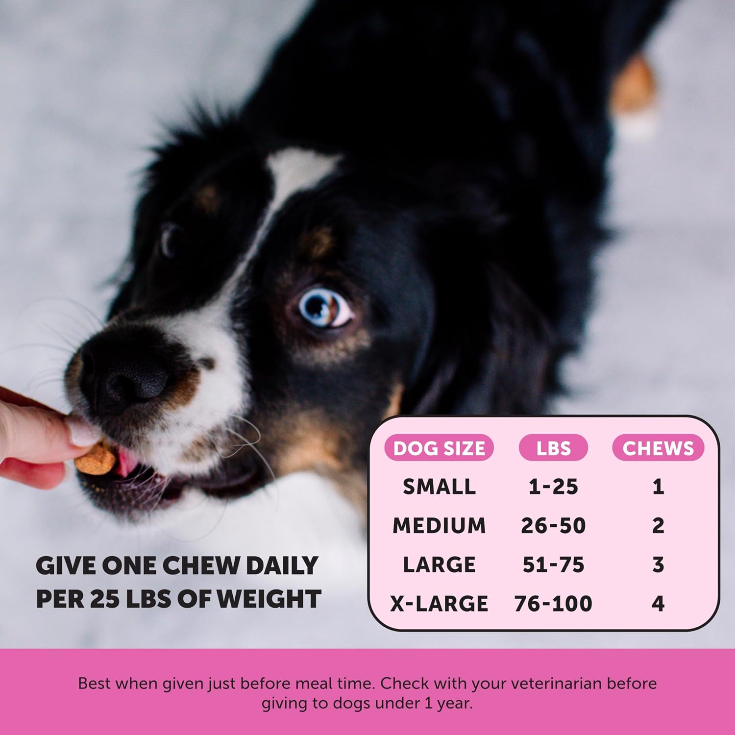 Pet Honesty Senior Dog Multivitamin for Ageing Dogs - Joint, Digestive, Skin Support - Duck, 90 Chews - görsel 5