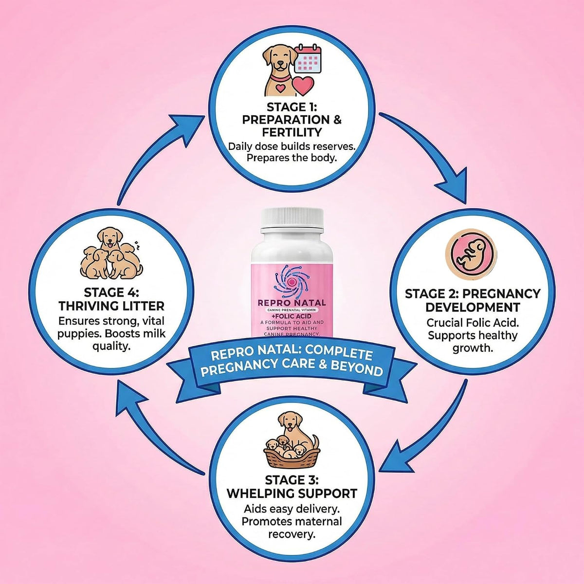 ReproNatal Prenatal Multivitamin Capsules for Dogs – 60-Day Supply - görsel 2