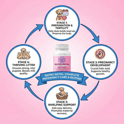 ReproNatal Prenatal Multivitamin Capsules for Dogs – 60-Day Supply