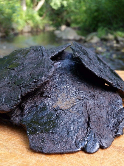 1lb Rehmannia (Prepared) | Shu Di Huang Radix Rehmannia glutinosa preperata | Traditionally Prepared, Premium Grade Large, Preservative Free | Uses for Yin Jing, Energy, Health for Men & Women
