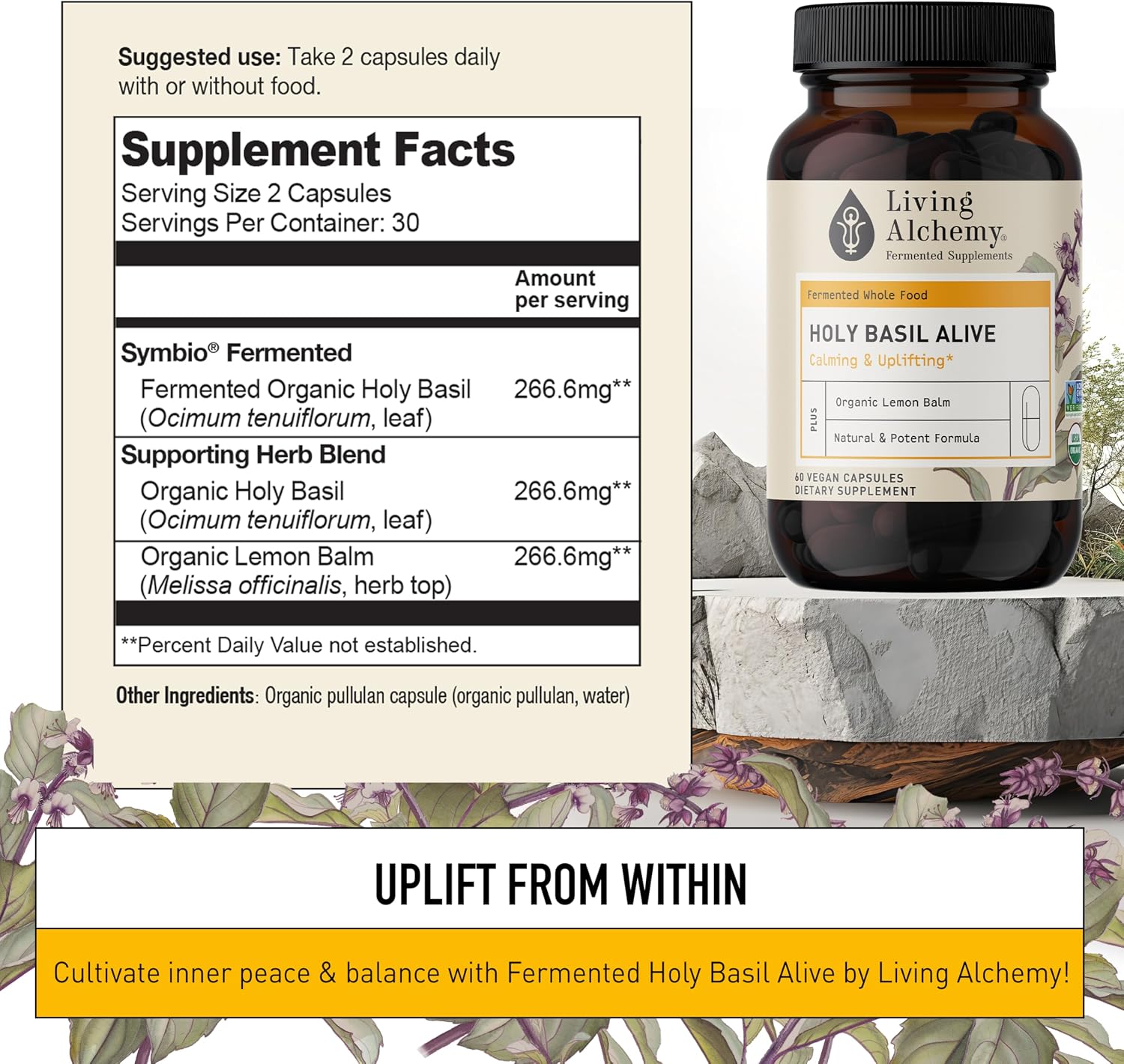 Living Alchemy Fermented Holy Basil with Lemon Balm - Vegan, Non-GMO - 60 Capsules - görsel 2