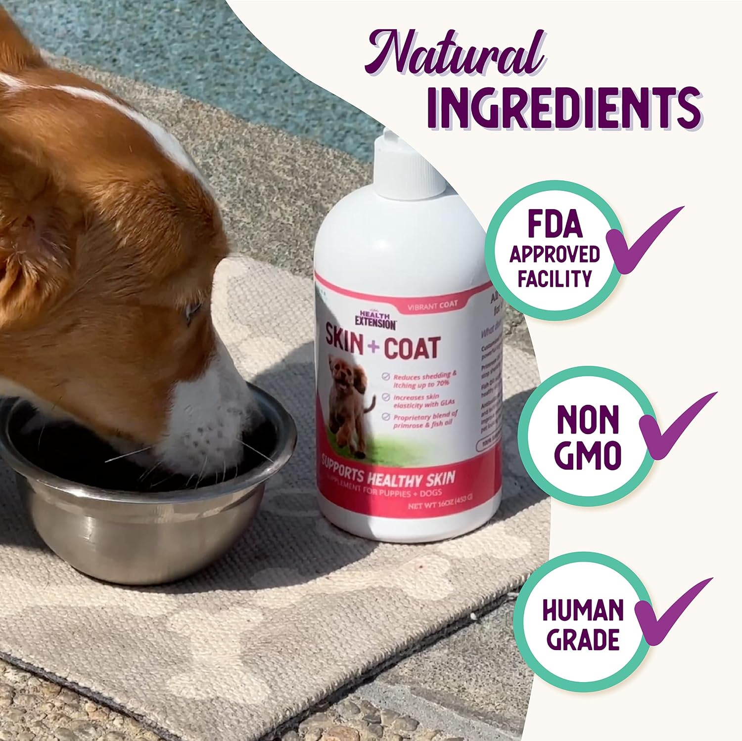 Health Extension Skin & Coat Supplement for Dogs and Puppies, 473 ml - görsel 5