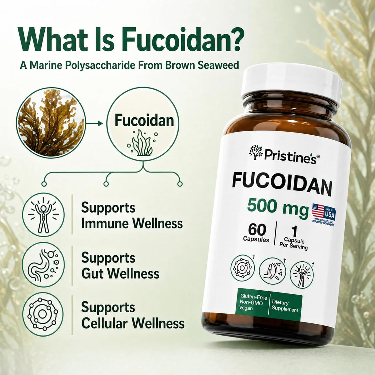 PRISTINE'S Fucoidan 500 mg Food Supplement Capsules – 60-Day Supply – Brown Seaweed Extract – Herbal Antioxidant for Respiratory and Skin Health Support - görsel 3