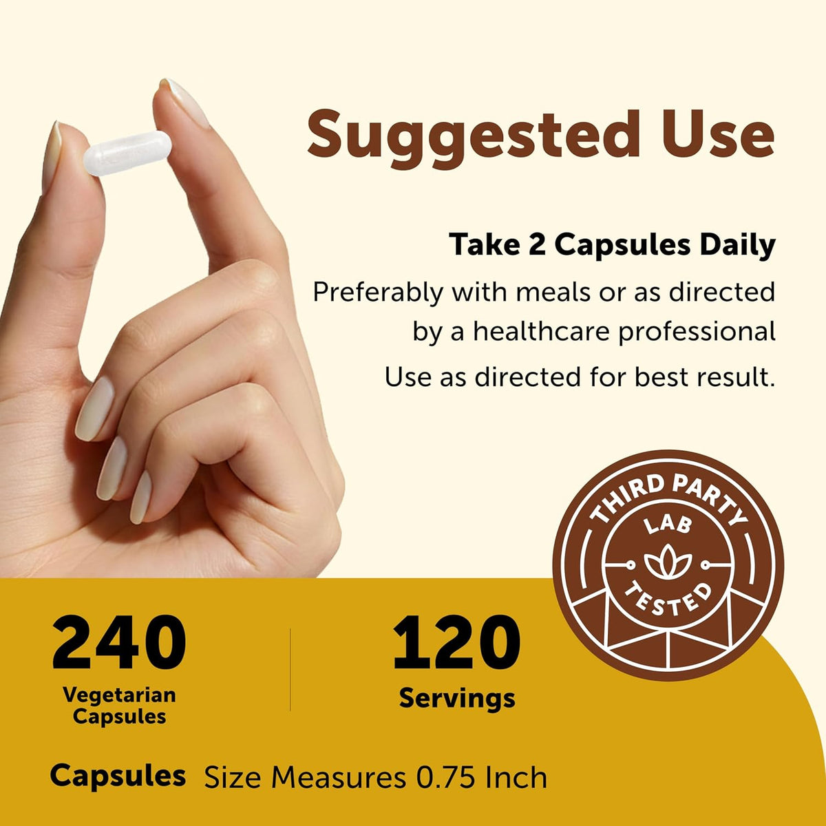 Micro Ingredients Methylated Bariatric Multivitamin with 45mg Iron for Women & Men, 240 Veggie Capsules - görsel 5