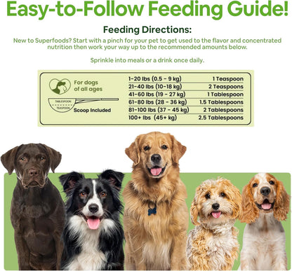 Organic Dog Multivitamin Supplement (340 g, 2 Pack) - Dog Greens Powder, Human Grade Superfoods
