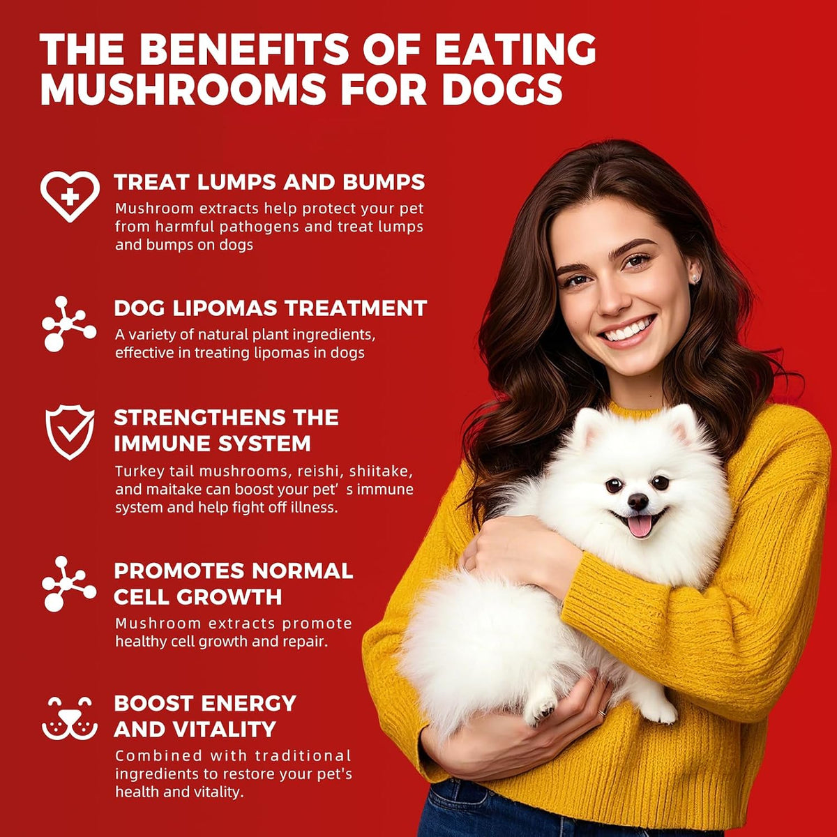 VivaElixir Dog Lumps and Bumps Supplement - Immune Support Chews with Turkey Tail Mushroom, Reishi, Shiitake, Maitake, Curcumin & CoQ10 - Veterinary Formulated - 150 Chews - görsel 4