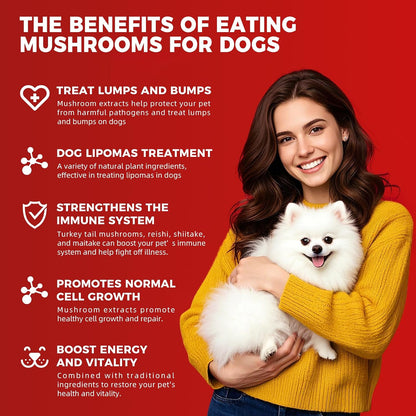 VivaElixir Dog Lumps and Bumps Supplement - Immune Support Chews with Turkey Tail Mushroom, Reishi, Shiitake, Maitake, Curcumin & CoQ10 - Veterinary Formulated - 150 Chews