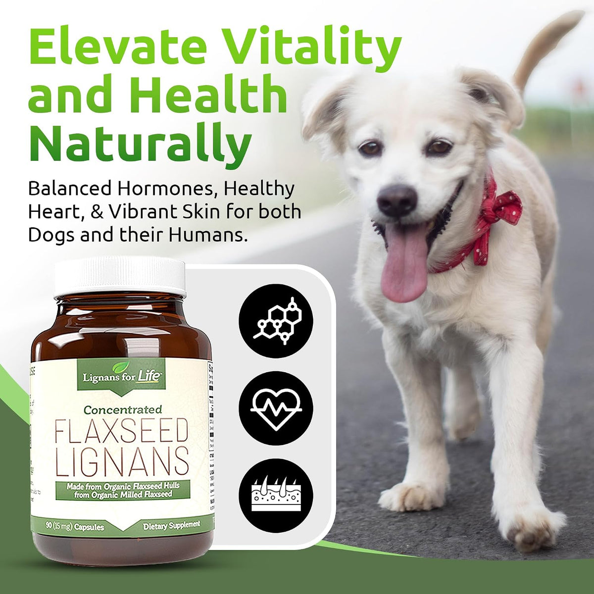 Lignans For Life Flaxseed Lignans for Dogs and People - Organic Flaxseed Supplement for Hormonal Support, 15mg, 90 Capsules - görsel 4