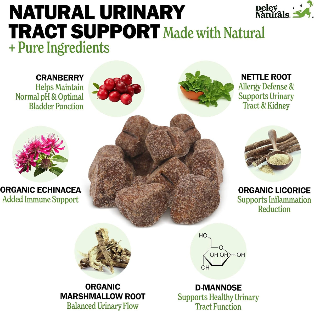 Deley Naturals Dog UTI Chews – Cranberry Supplement with D-Mannose & Marshmallow Root – Chicken Flavour, 120 Chews - görsel 2