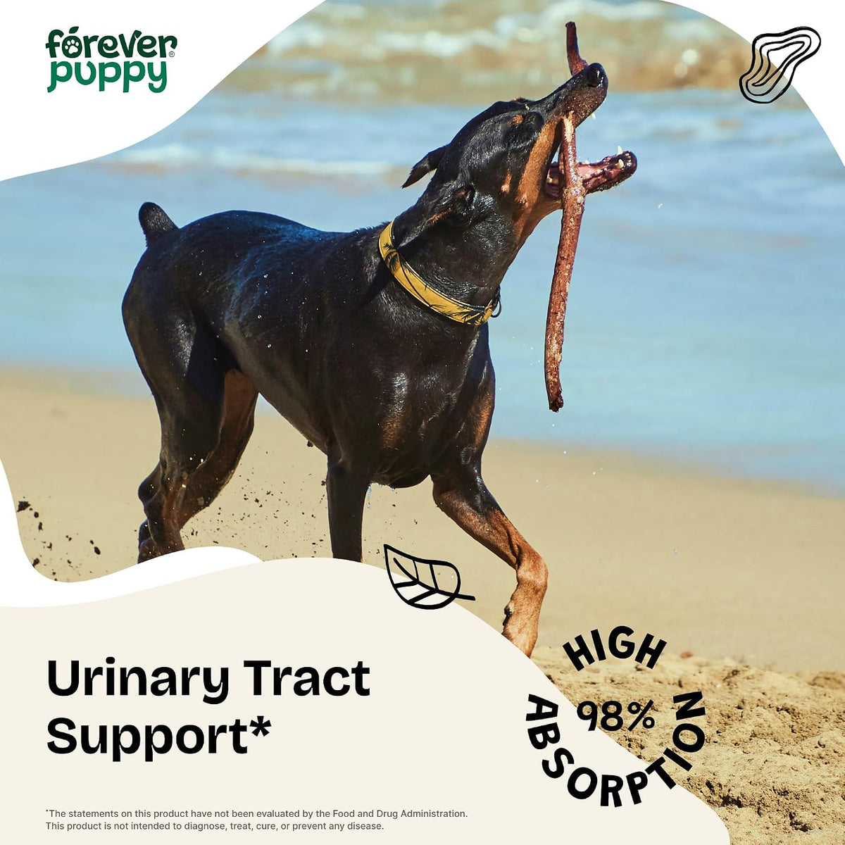 Forever Puppy Urinary Tract Drops for Dogs – Bladder Supplement with Corn Silk and Chanca Piedra - görsel 2