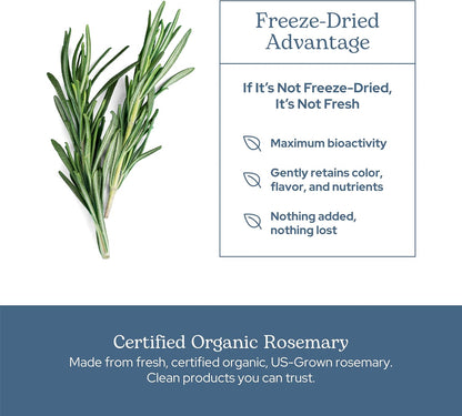 Eclectic Herb Rosemary Capsules – Mental Clarity, Memory & Brain Health (90 Count, 300 mg)