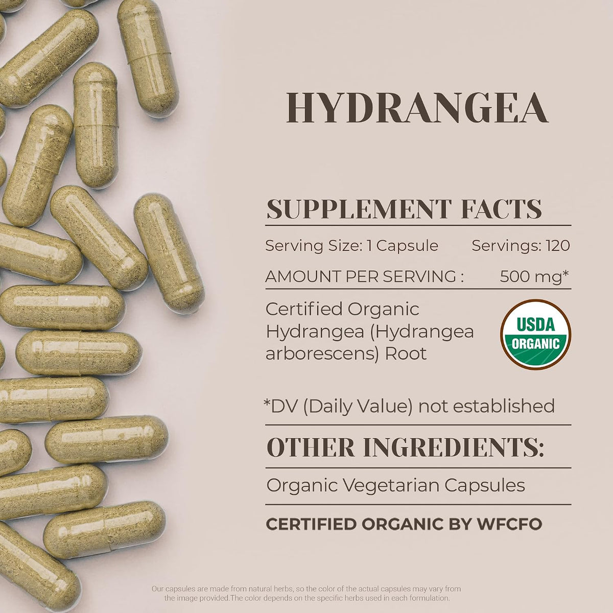 Hydrangea USDA Organic 120 Capsules - High Strength Natural Supplement - Certified Organic Vegetarian Capsules with Organic Hydrangea arborescens Dried Root (120 Capsules) - görsel 3