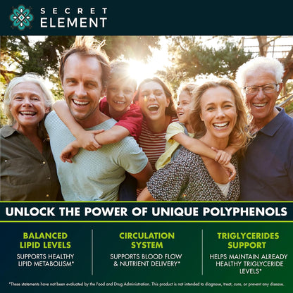 Secret Element Citrus Bergamot Extract 1000mg - Polyphenol-Rich Food Supplement, 120 Vegan Capsules