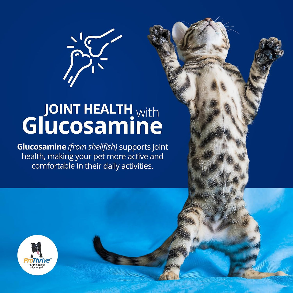 ProThrive Spunky Digestive Supplement - Probiotics, Digestive Enzymes, Joint Support for Cats and Dogs - 2.27 kg - görsel 5
