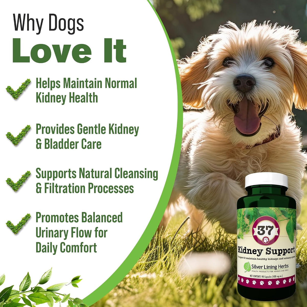 Kidney Support for Dogs – Natural Herbal Canine Kidney Cleanse & Bladder Support Supplement with Cranberry & Astragalus – 90 Capsules - görsel 2