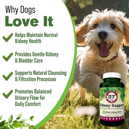 Kidney Support for Dogs – Natural Herbal Canine Kidney Cleanse & Bladder Support Supplement with Cranberry & Astragalus – 90 Capsules