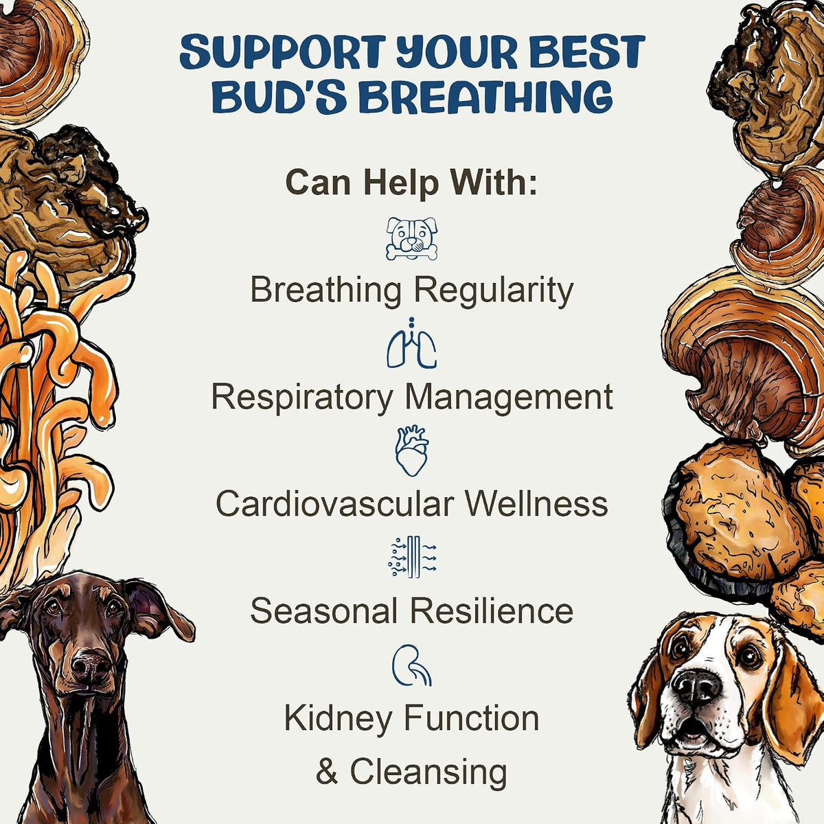 Breathe Dog Allergy Relief Drops 2 fl. oz.: Mushroom Extracts & Ashwagandha Tincture - görsel 5
