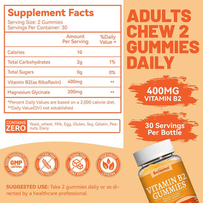 2 Pack Vitamin B2 Gummies – Chewable Riboflavin 400mg with Magnesium – 120 Counts