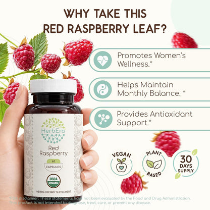 HerbEra USDA Organic Red Raspberry Leaf Capsules – Traditional Herbal Support, Rubus Idaeus Dried Leaf, Daily Wellness Capsules, Vegan, Herbal Supplement (60 Capsules)
