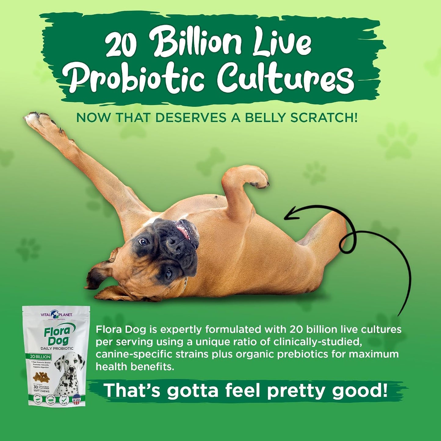 Vital Planet Flora Dog Probiotics – 20 Billion Cultures & 11 Strains, Bacon Flavoured Soft Chews (30 Count) - görsel 6