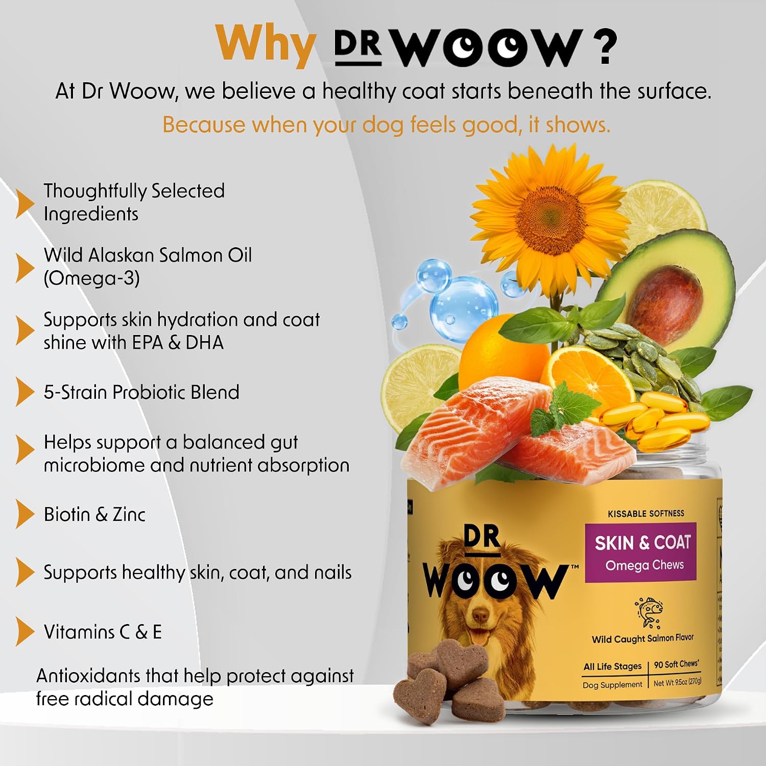DR WOOW Omega-3 Soft Chews for Dogs – Skin & Coat Support (90 Count) - görsel 2