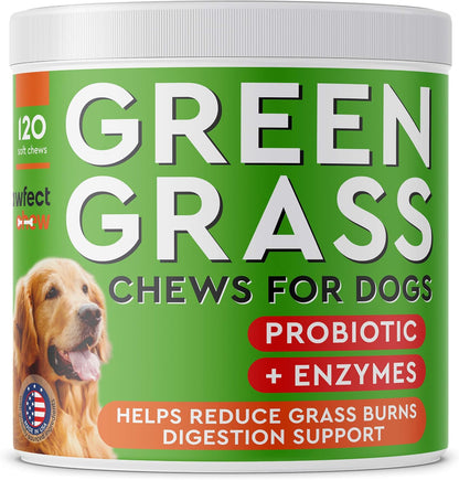 PAWFECTCHEW Dog Pee Grass Helper - Urine Neutraliser for Lawn Burn Spots - 120 Soft Chews